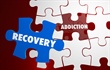 Recovery Basics Course