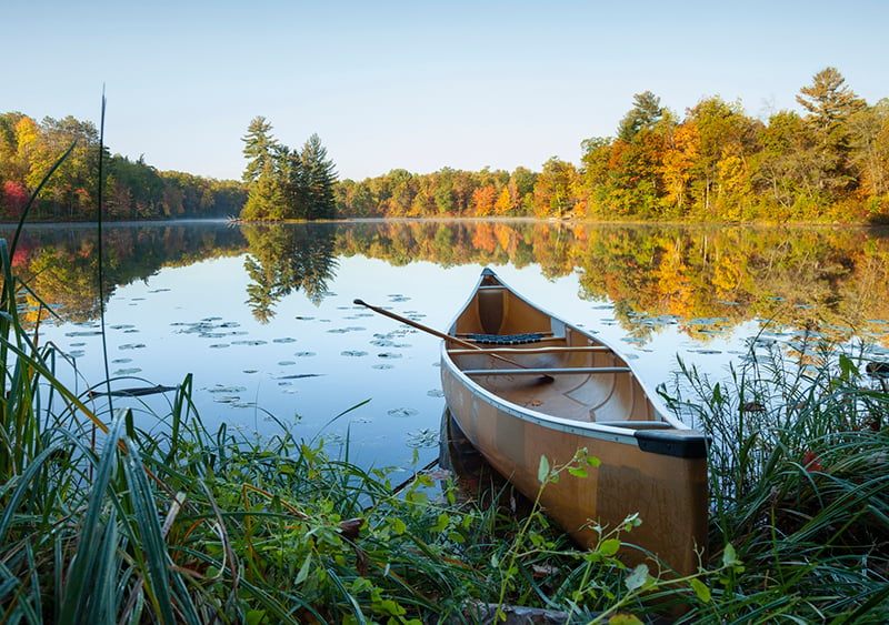 Maine depart of inland on sale fisheries and wildlife